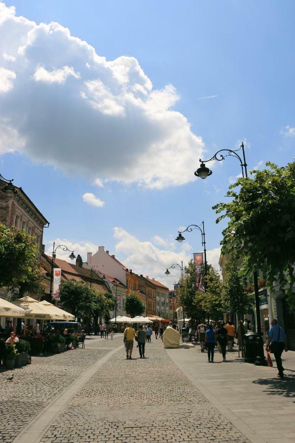 Corso Comfort Apartments Сибиу Экстерьер фото